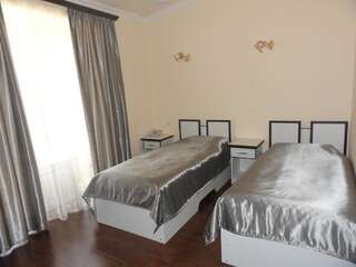 Отель Diana Hotel Горис Стандартный двухместный номер с 1 кроватью или 2 отдельными кроватями-6