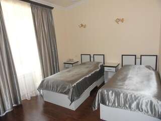 Отель Diana Hotel Горис Стандартный двухместный номер с 1 кроватью или 2 отдельными кроватями-11